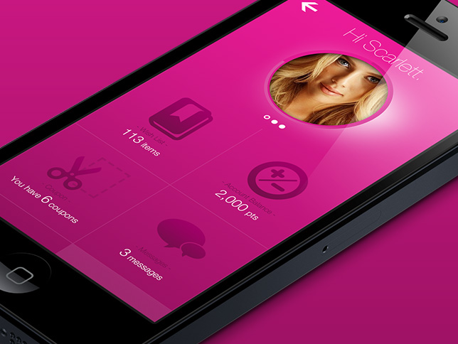 Mobile application user profile interface